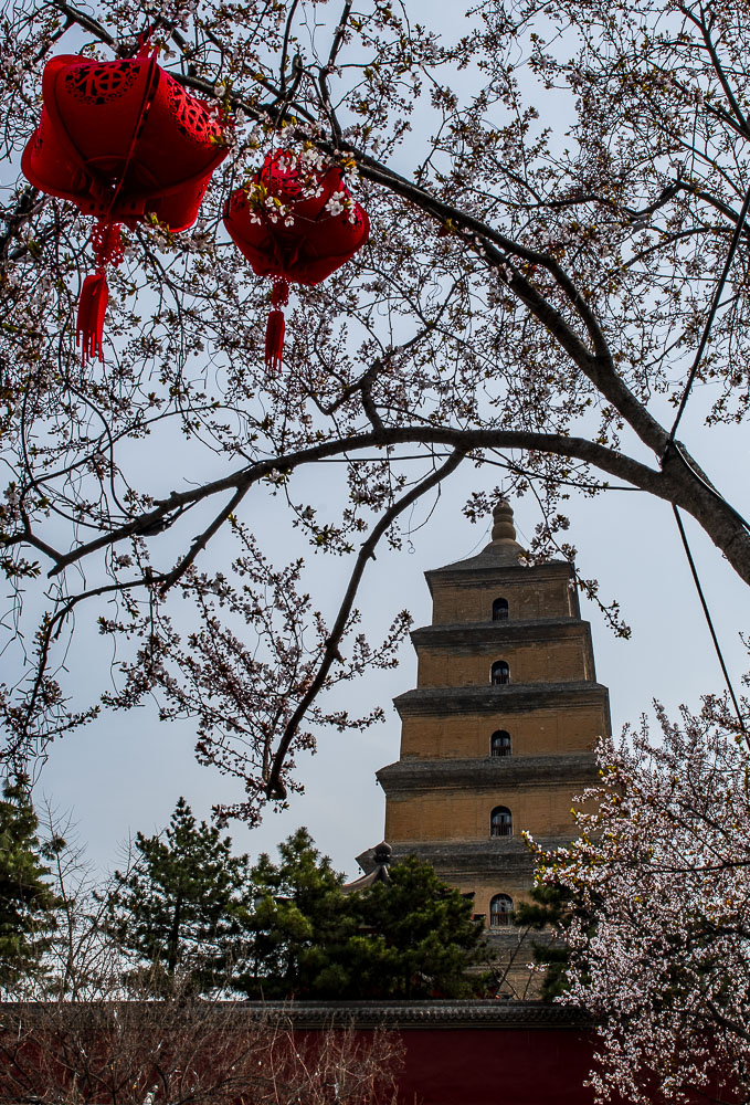 411 Big Goose Pagoda, Xian